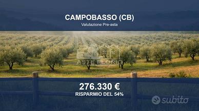 Immobile in asta di 21310 m² a Campobasso