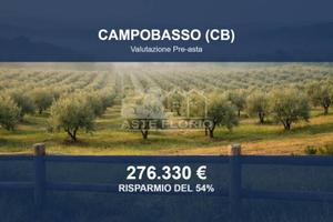 Immobile in asta di 21310 m² a Campobasso