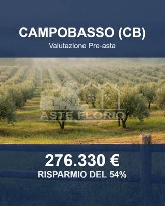 Immobile in asta di 21310 m² a Campobasso