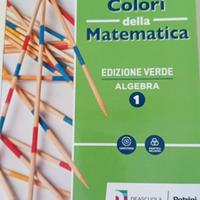 libro scolastico matematica prima superiore