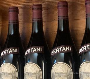 Amarone Bertani 2015