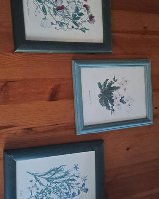 Trittico quadretti con stampe fiori montagna