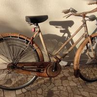 Bottecchia bici anni '40 donna, freni a bacchetta