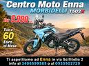 morbidelli-t502x-t352x-2026-intera-gamma