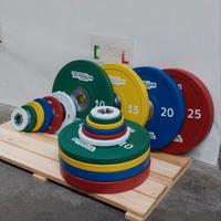 Bumper Technogym da 165kg tot.