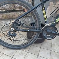 bici daytona 