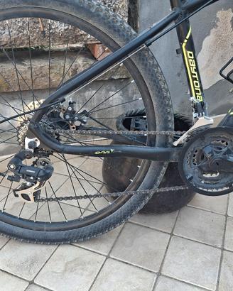 bici daytona 