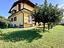 Immagine 5