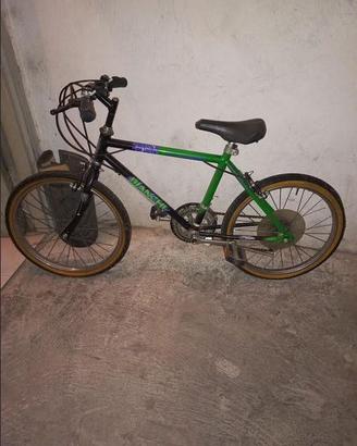 Bicicletta Bianchi