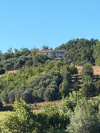 Casa sola in campagna