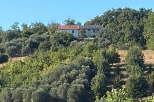 Casa sola in campagna