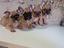 Immagine 3