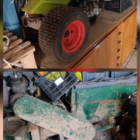 Scopatrice + defogliatrice olive