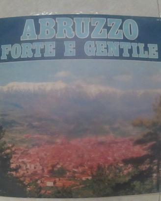 Disco vinile