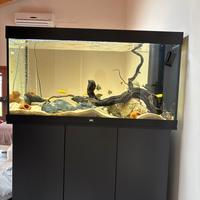 Acquario jewel 350 completo Malawi ciclidi