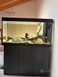 Acquario jewel 350 completo Malawi ciclidi