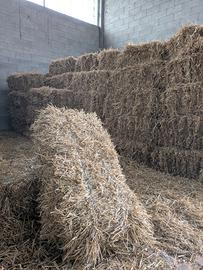 Paglia pressata in ballette