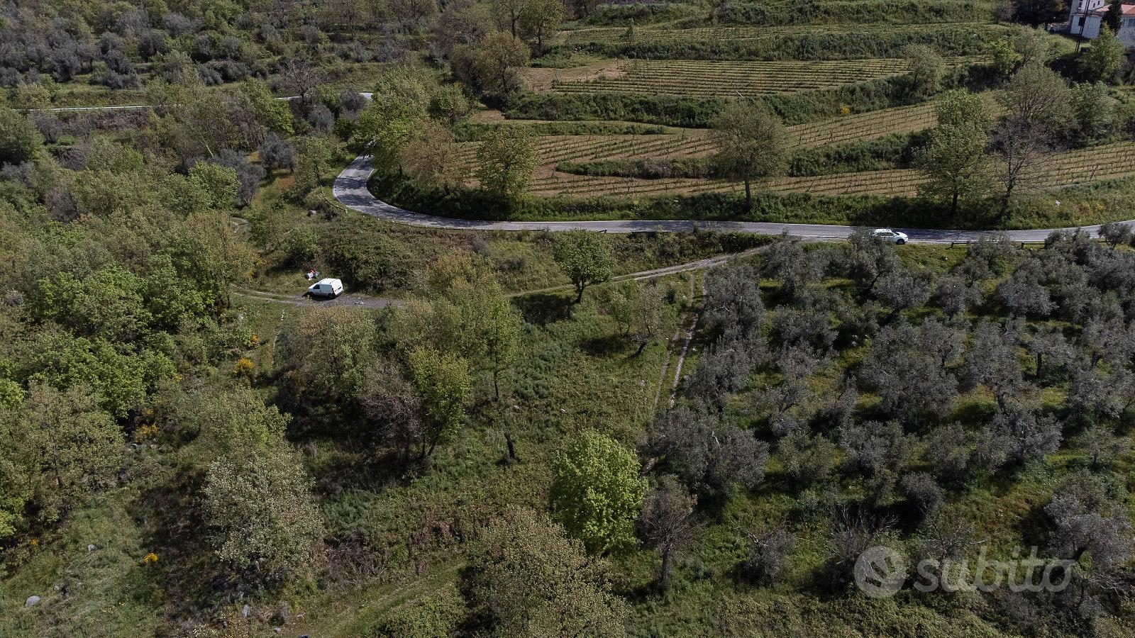 Terreno agricolo a Roccamorfina (CE) - Vista 4