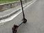 Immagine 2