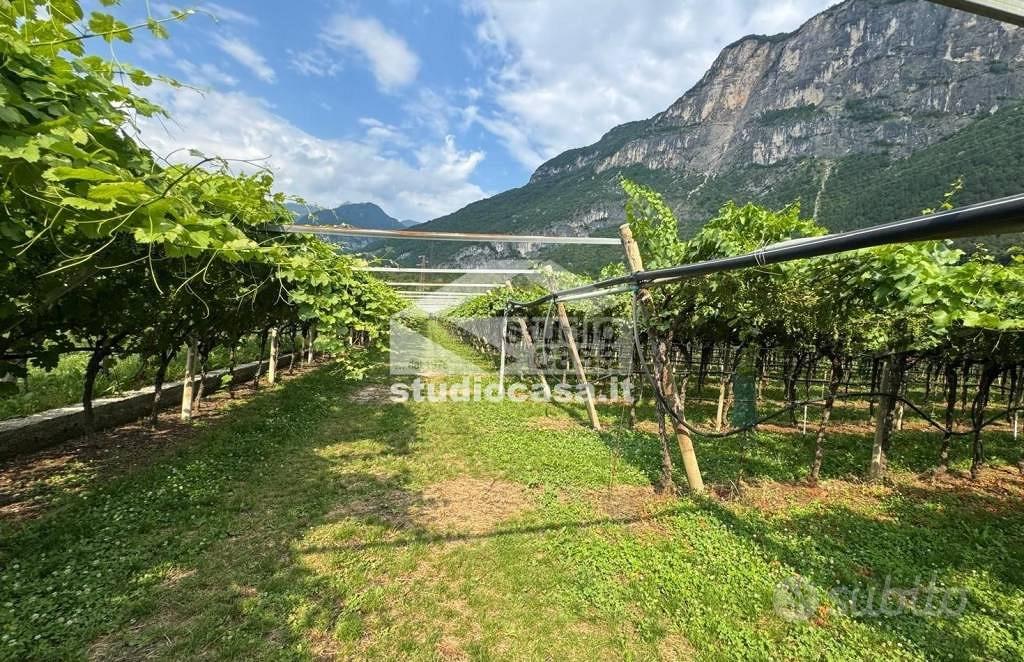 Terreno di 13552 m² a Volano - Vista 3