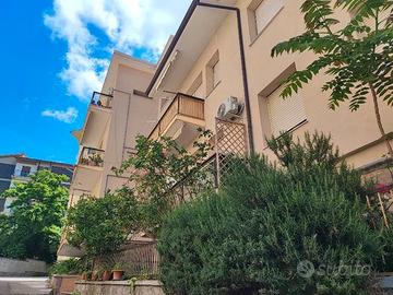 Luna e Sole, Mater Ecclesiae pressi- Ampi spazi