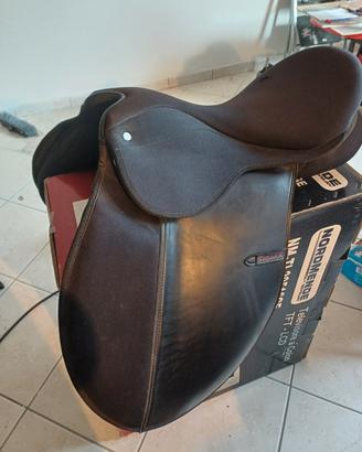 ❗️SELLA PERFETTE CONDIZIONI❗️