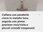 Immagine 6