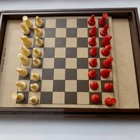 Gioco degli scacchi Dal Negro