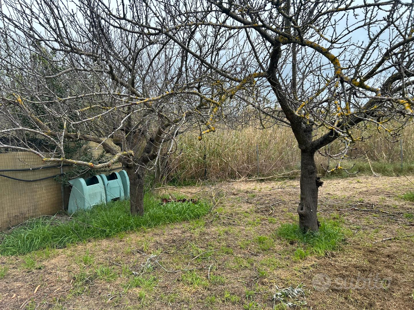 Terreno a Castiglione della Pescaia luce e acqua - Vista 6