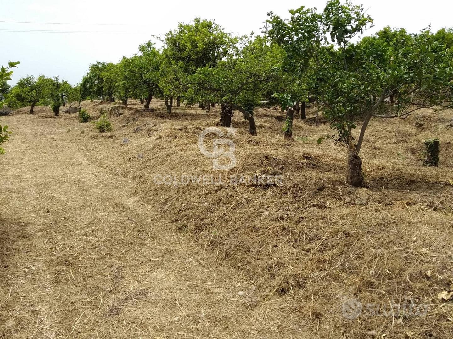 Terreno - Mascali - Vista 5