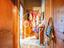 Immagine 15