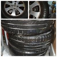 Gomme Estive 