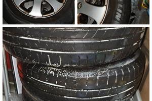 Gomme Estive 