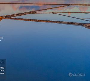 Assistenza anziani,educatrice infantile