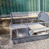 Gabbia 2 piani per conigli