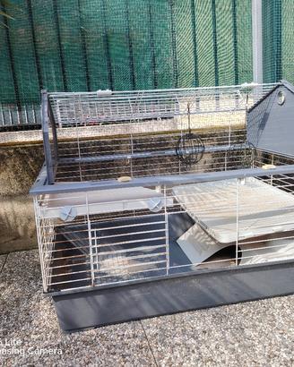 Gabbia 2 piani per conigli