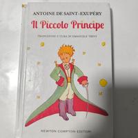 Il piccolo principe 