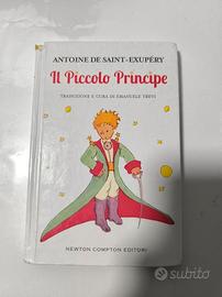 Il piccolo principe 