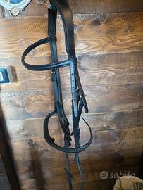 briglia con redini waldhausen 