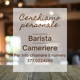 Camariera di sala