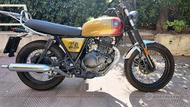 Brixton Cromwell 250 - 2022