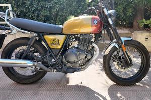 Brixton Cromwell 250 - 2022