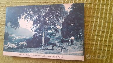 cartoline 