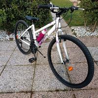 Bicicletta mountain bike bambina telaio 26