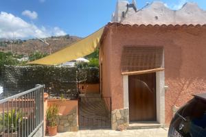 Sangineto last minute