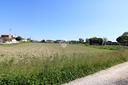 ter-agricolo-a-monselice