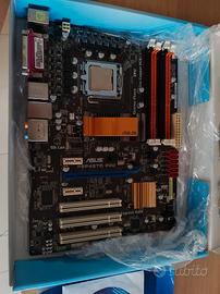 Scheda madre Asus Ram