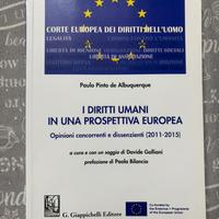 I DIRITTI UMANI IN UNA PROSPETTIVA EUROPEA