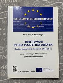 I DIRITTI UMANI IN UNA PROSPETTIVA EUROPEA
