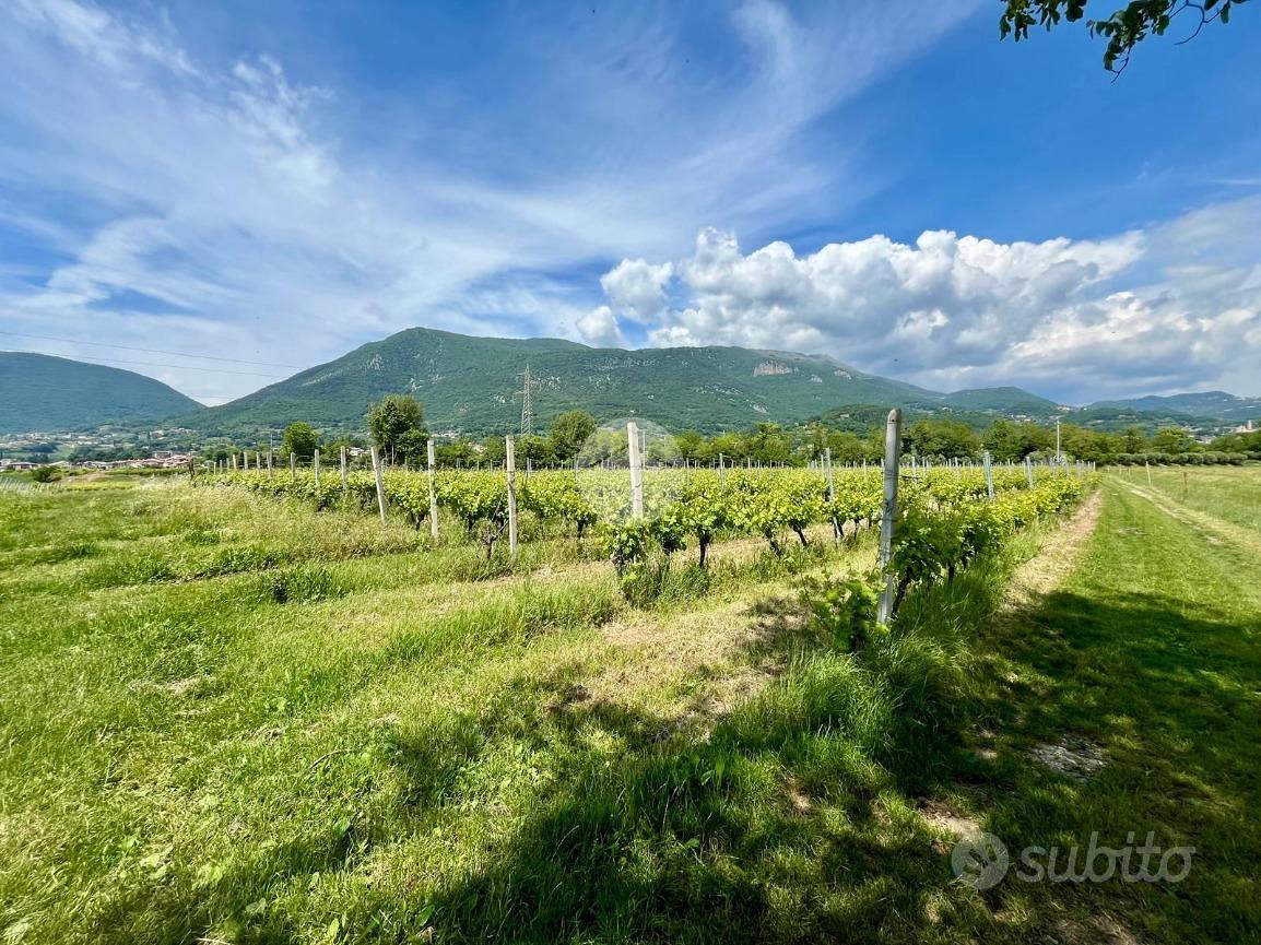 TER. AGRICOLO A CAPRINO VERONESE - Vista 5